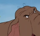 Winifred