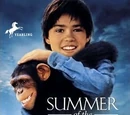 Summer of the Monkeys