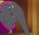 Elephant Matriarch