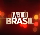 Avenida Brasil