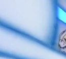 Family Kamehameha