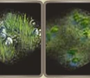 Wildernesses