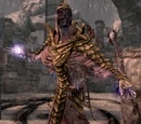 Nahkriin