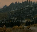 Halted Stream Camp