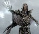Dragon Priest