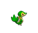 Snivy