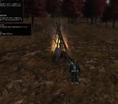 Campfire Bundle