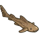Zebra Shark