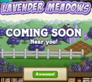 Lavender Meadows (farm)