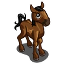 Standardbred Foal-icon.png