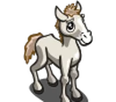 White Mustang Foal
