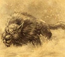 Wolf