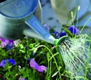 How to reduce your carbon footprint