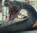 Nagini