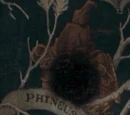 Phineas Black
