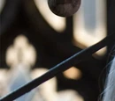 Lucius Malfoy