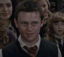Seamus Finnigan