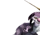 Procoptodon