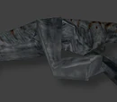 Carnotaurus