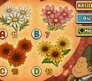 Puzzle:Fortune Flowers