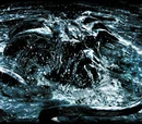 Watcher in the Water
