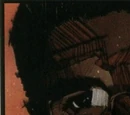 Dwayne McDuffie