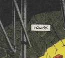 Codpiece (New Earth)