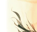 Batman: Streets of Gotham Vol 1 11/Images