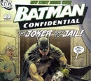 Batman Confidential Vol 1 22