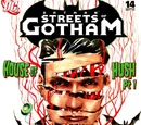 Batman: Streets of Gotham Vol 1 14