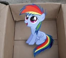 My Little Dashie