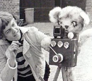 Stef van der Linden