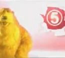 Channel 5