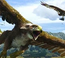 Gryphon