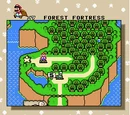 Forest of Illusion