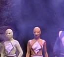 Dark Rangers