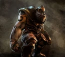 Brute