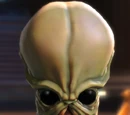 Aidarro