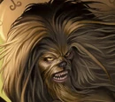 Tyvokka