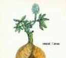 Prairie turnip
