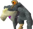 Warped terrorbird