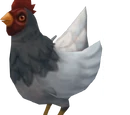Chicken