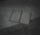 Mike's Diary