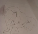 Lyptus The Koala