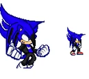 Will the Echidna