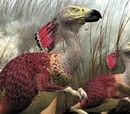 Carakiller