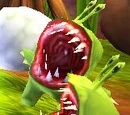 Chompies