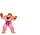 Shinku Gadoken
