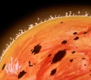 Sun