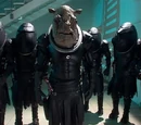 Judoon
